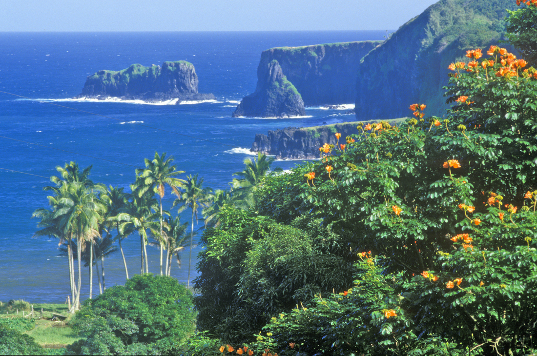 Hawaii cruise ship in tropical surf